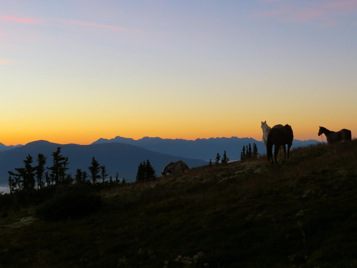 Bear Claw Lodge Kispiox Екстериор снимка