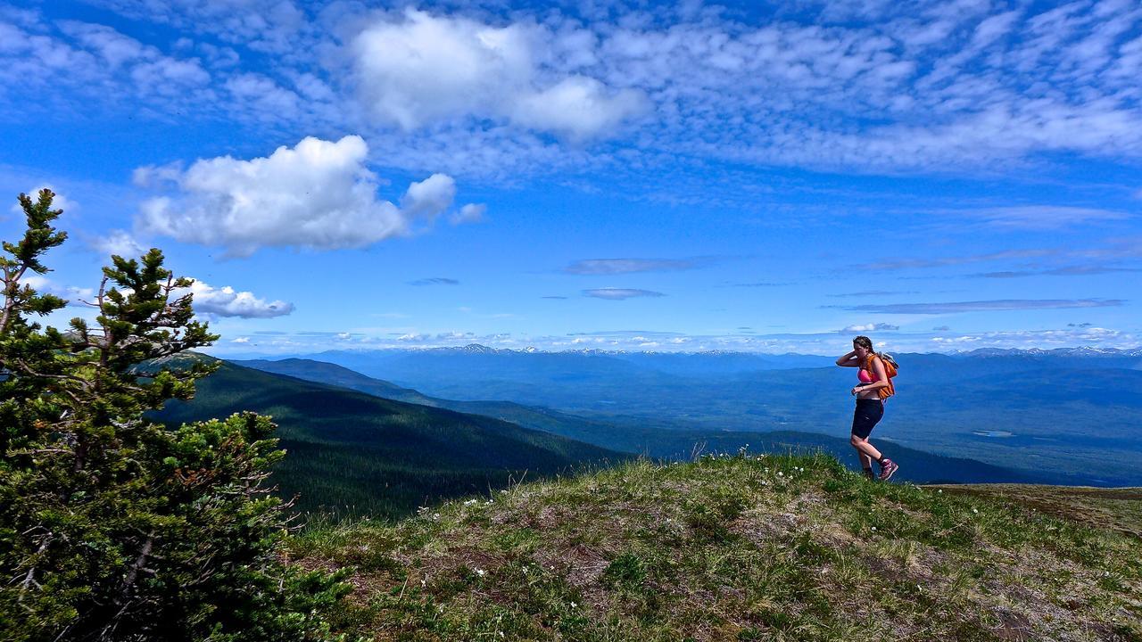 Bear Claw Lodge Kispiox Екстериор снимка