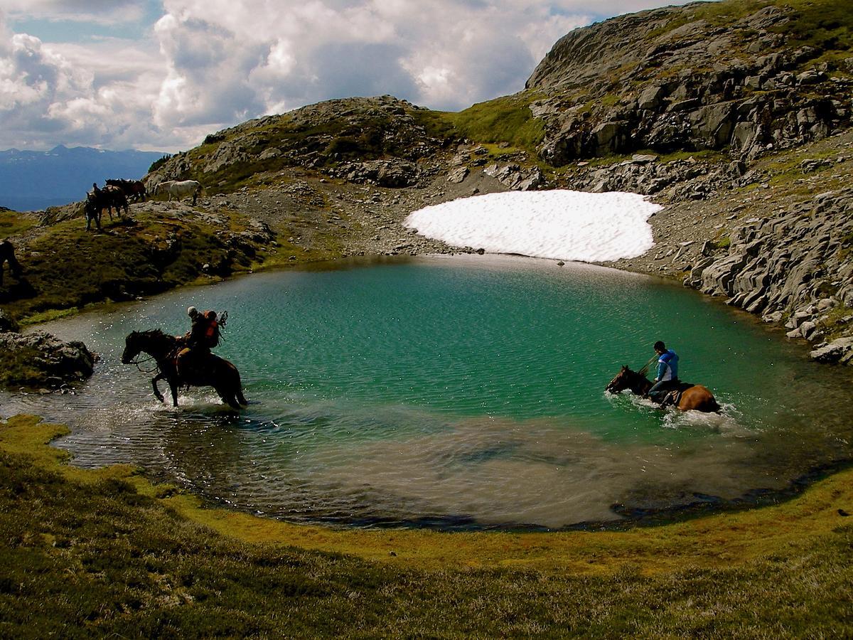 Bear Claw Lodge Kispiox Екстериор снимка