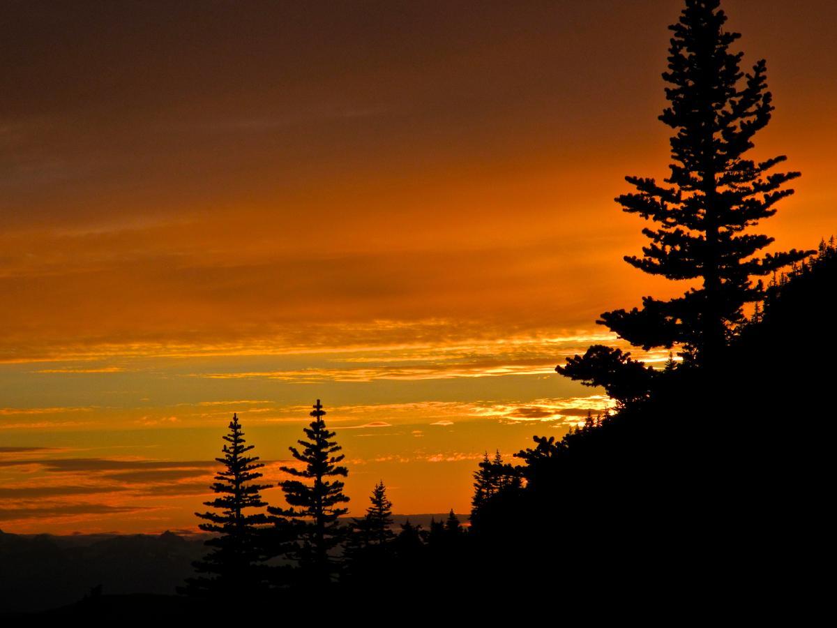 Bear Claw Lodge Kispiox Екстериор снимка