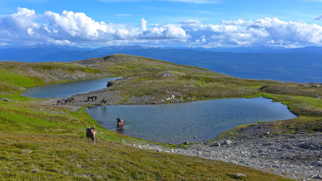 Bear Claw Lodge Kispiox Екстериор снимка