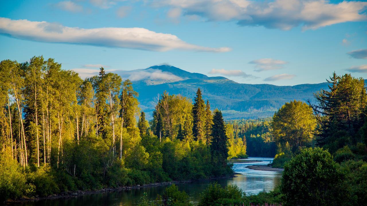 Bear Claw Lodge Kispiox Екстериор снимка