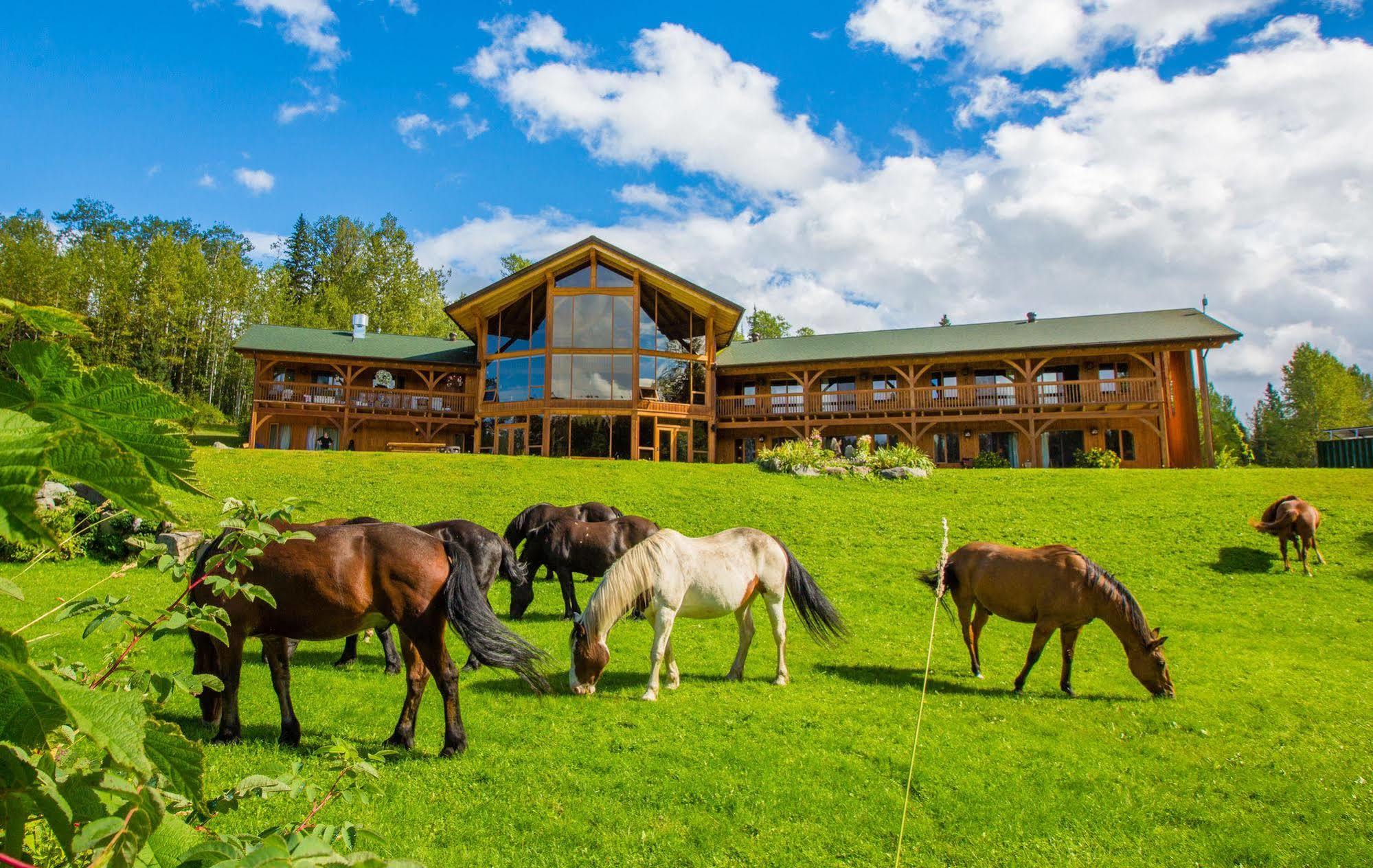 Bear Claw Lodge Kispiox Екстериор снимка